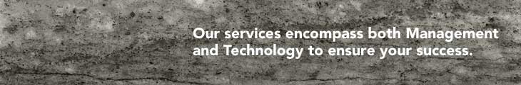 Our services encompass both Management and Technology to ensure your success.